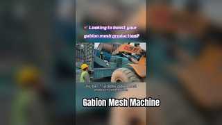 উচ্চ-দক্ষতা গ্যাবিয়ন মেশ উত্পাদন লাইনের ভিতরে | জিনলিডা ম্যানুফ্যাকচারিং গ্রুপ