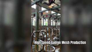 5300mm CNC গ্যাবিয়ন মেশ মেশিন | হাই-স্পিড হেক্সাগোনাল ওয়্যার নেটিং মেশিন | জিনলিডা ফ্যাক্টরি