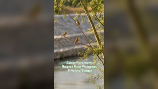 একটি গ্যাবিয়ন প্রকল্প সম্পন্ন হওয়ার পর কি হবে?